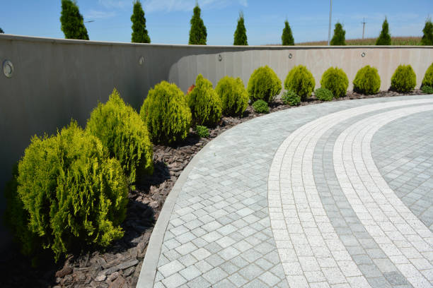 Best Driveway Repair Near Me  in Altamont, TN